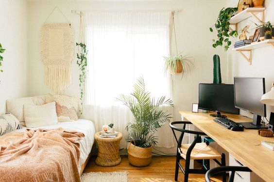 plant decors for small bedroom