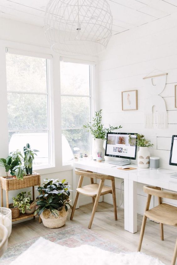 fresh workspace with plant decors