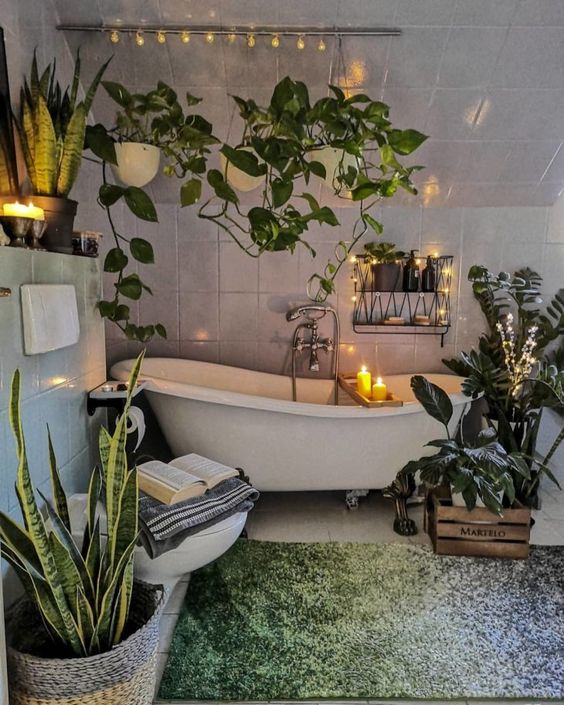 fresh nature bathroom plants decor