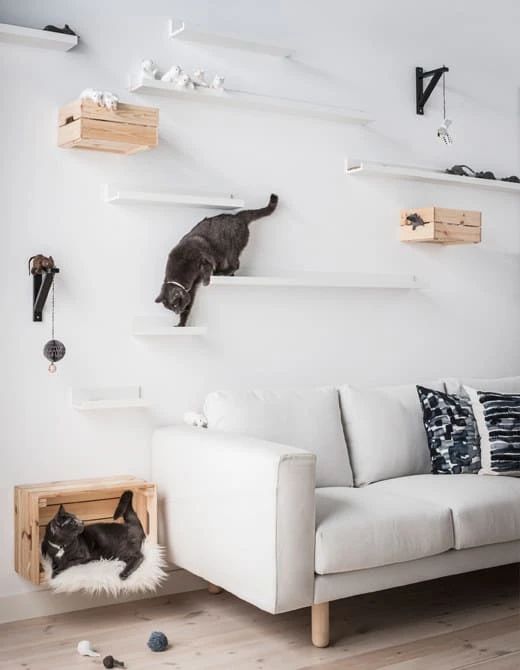 pet lovers home decors