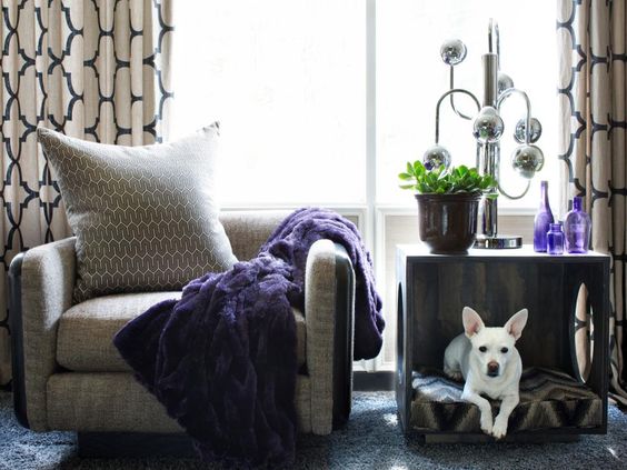 pet lovers living room decors