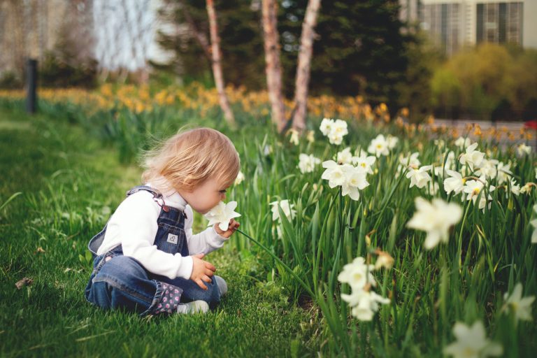 10 Garden Kid-Friendly Ideas – The Best Ways in Making Your Outdoor Feel Fun