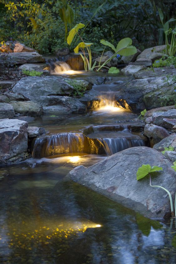 pond light lamp