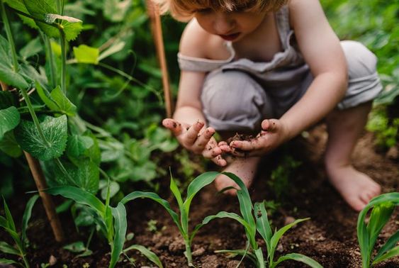 child-friendly plants