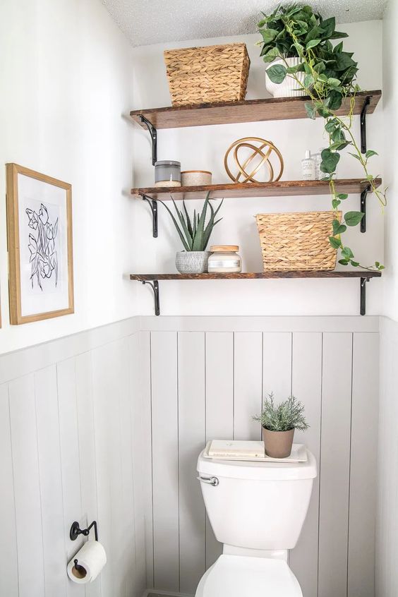 plant in the bathroom