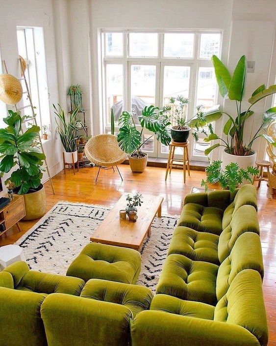 fresh small living room