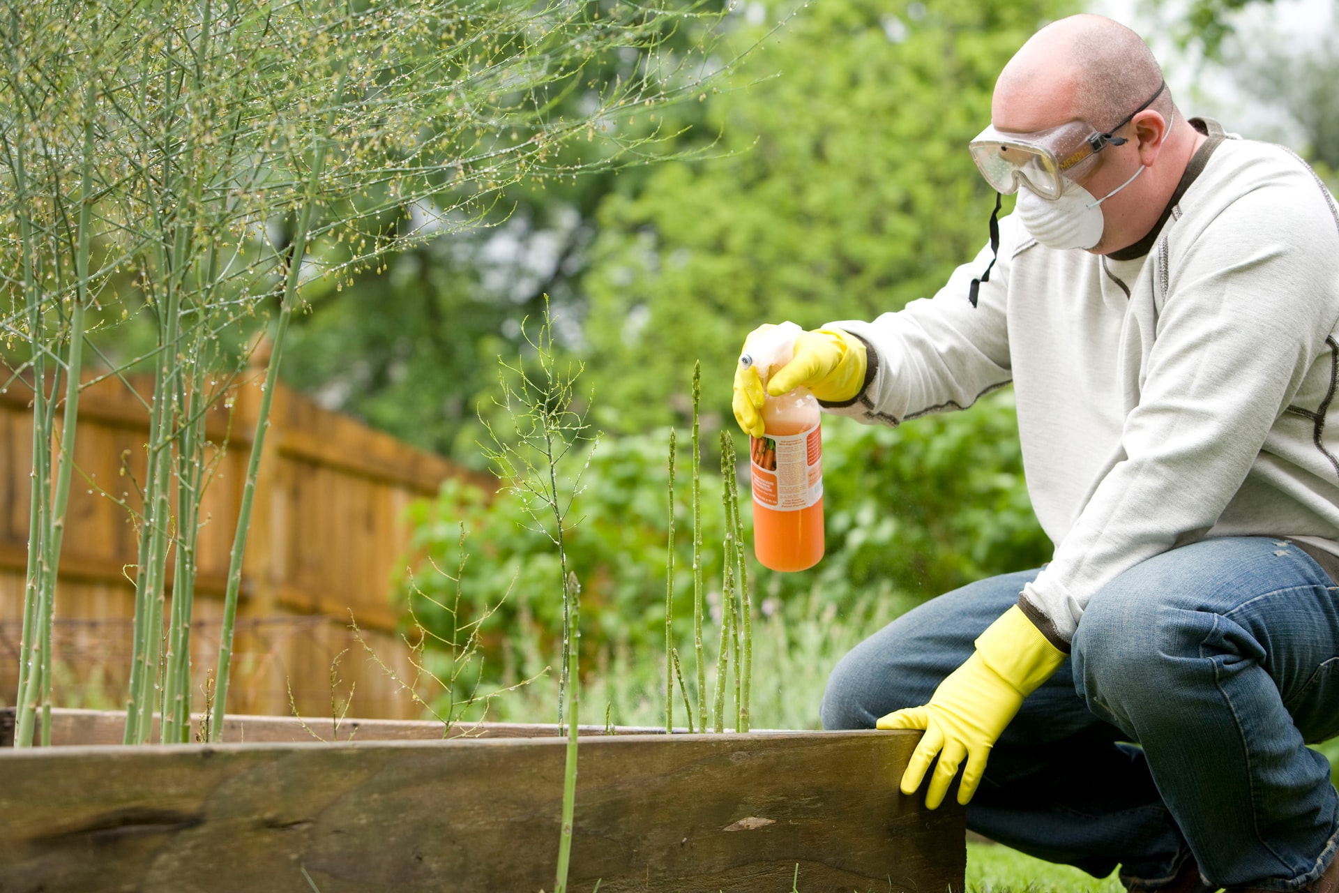 anti-pest spray