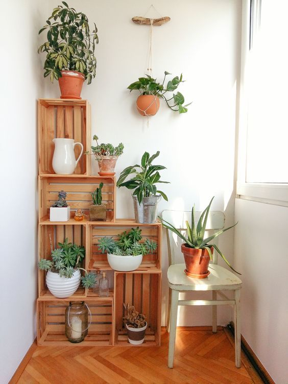 plant shelf home DIY ideas