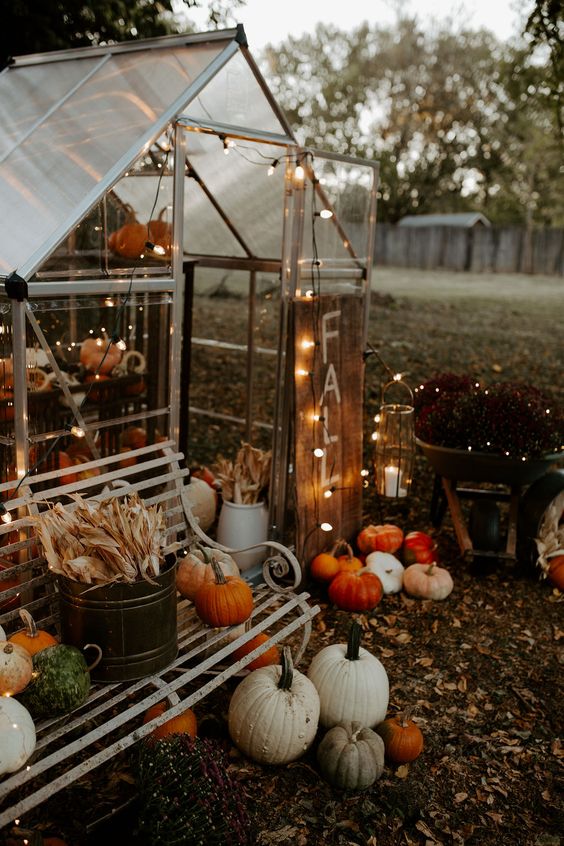 pumpkin decors