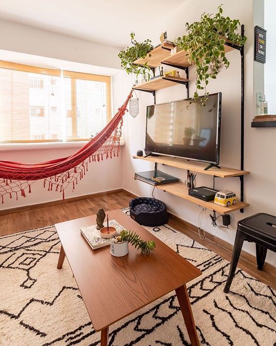 indoor hammock in TV room